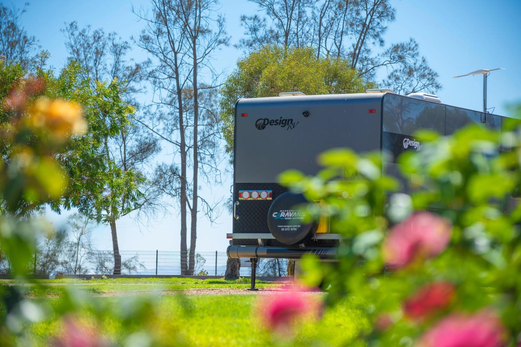 Campsite Echo - *